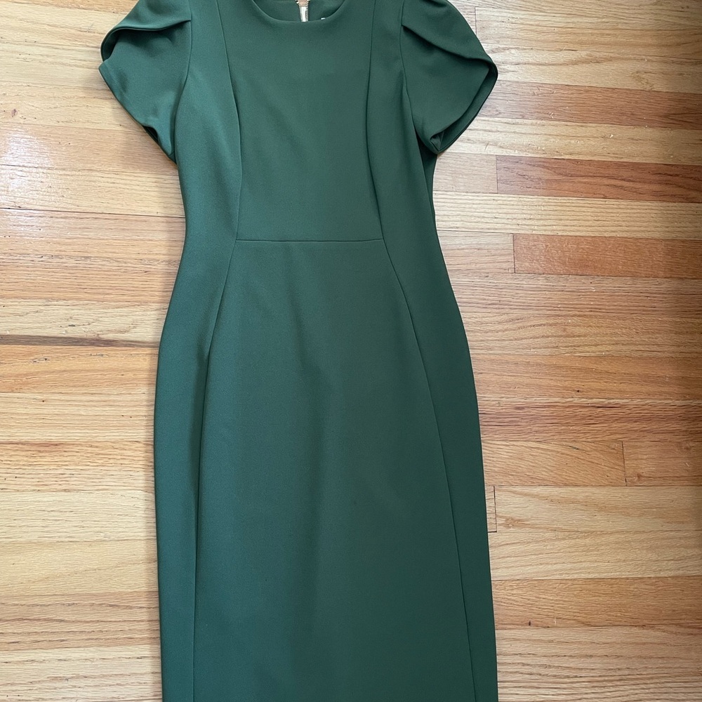 Calvin Klein olive Green Sheath Dress with Puff Cap Sleeves